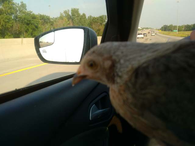 36413102_1933476633370443_6925570121247227904_n